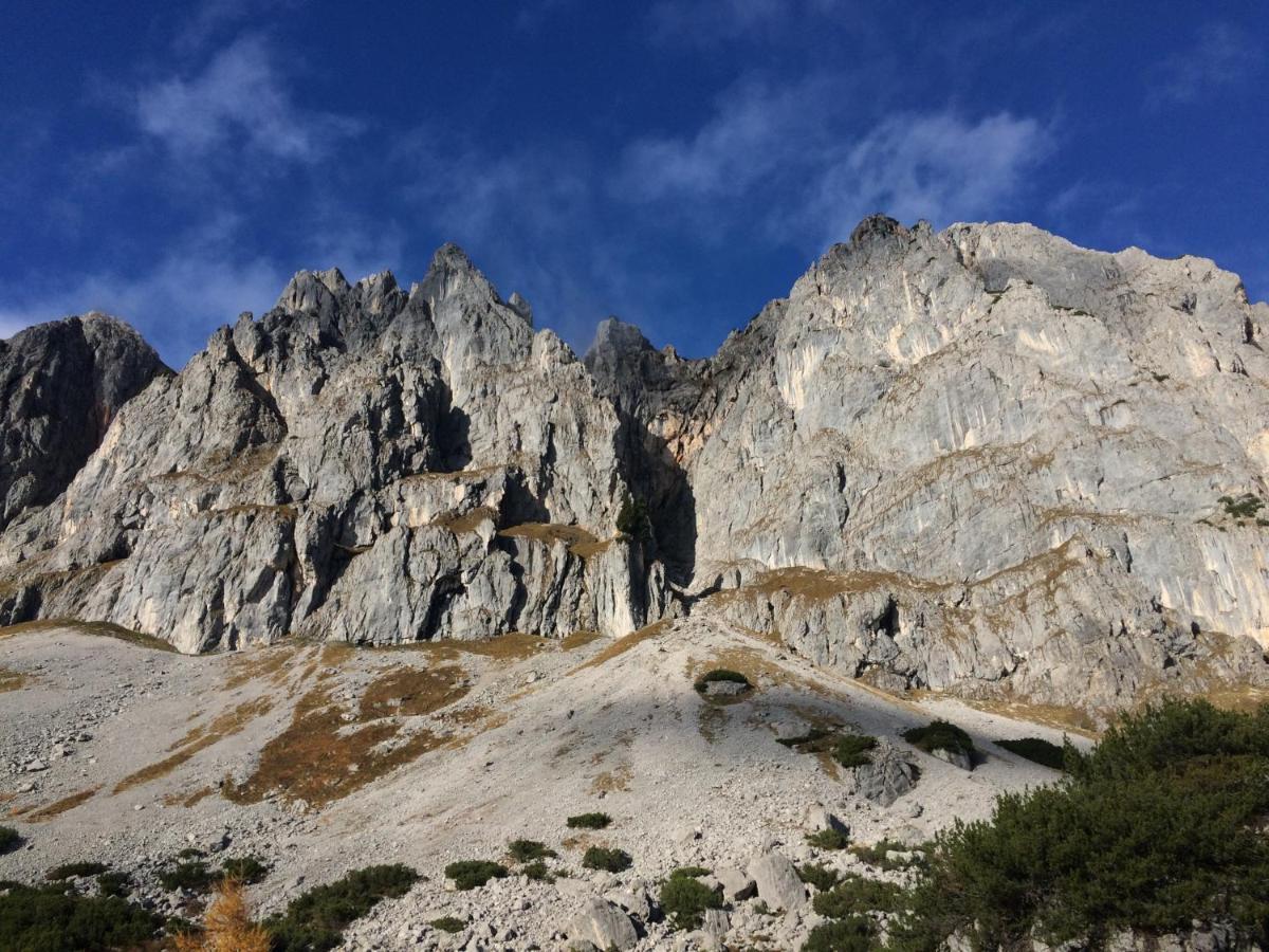 Ferienwohnung "Mein Alpenjuwel" Filzmoos Esterno foto